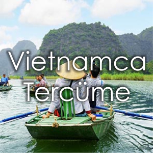 Vietnamca Tercme